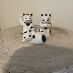 猫活　招き猫 陶器製 置物 3点セット 三毛猫