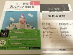 新しい数学1 実力アップ問題集