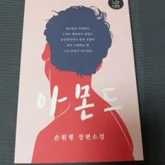 아몬드 손원평 장편소설 한국어판
