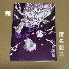 呪術廻戦 29巻 30巻 特典 両面イラストカード 五条悟 匿名配送