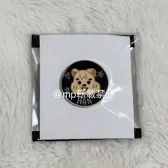 straykids 展示会 EXHIBITION ピンバッジ ハンクオッカ