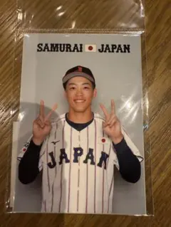 侍ジャパン　ブロマイド　岡林勇希