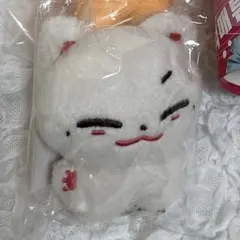 ZB1 zerobaseone ゼベワン マシュー ぬいぐるみ 10cm Amazon.co.jp: zerobaseone zb1 ゼベワン マシュー ぬいぐるみ : おもちゃ
