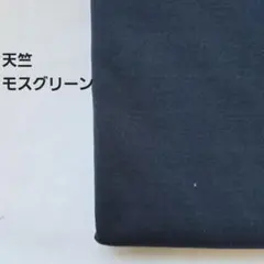 Ａ-16■天竺ニット生地　モスグリーン　1.5m
