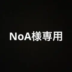 NoA様専用ちいかわ Kiramekko(きらめっこ)ハチワレ・うさぎ