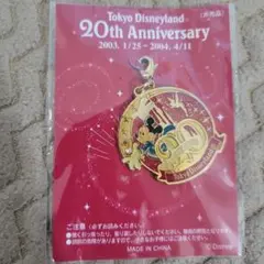 東京ディズニーランド 20周年 チャーム