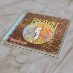 【CD】SPRING REVERB/BIG WU