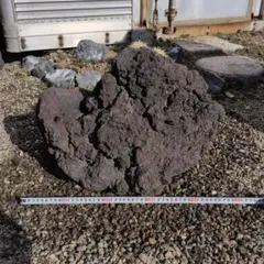 富士 溶岩石 81キロ 庭石 鑑賞石 石 庭 ガーデニング 置物 オブジェ