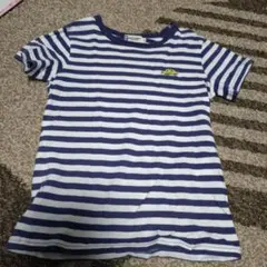 Item thumbnail for item 6c6a3703-cf7f-4e4c-afc0-cc853b16944a