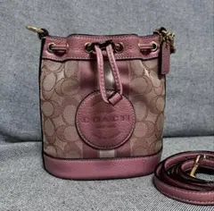 COACH ピンク バケットバッグ/ ショルダーバッグ 希少品
