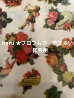 haru ★プロフもご一読下さい★様専用