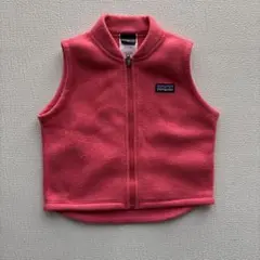 Patagonia