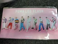 SnowManポストカード非売品