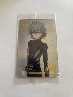 エヴァンゲリオン 渚カヲル sp-04