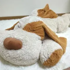 【新品未開封】ニトリぶち犬タロー大谷翔平さん愛用【残り2体匹】 新品未開封】ニトリぶち犬タロー大谷翔平さん愛用【残り2体匹