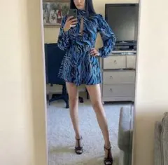 Bershka ゼブラ ドレス ワンピース