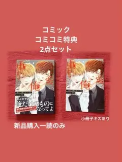 一条の愛が俺には重すぎる かむ　コミコミ8P小冊子　スリーズロゼコミックス　BL
