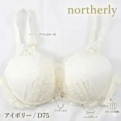 新品 ノーザリー ブラ D75 谷間メイク フィットシリーズのサムネイル