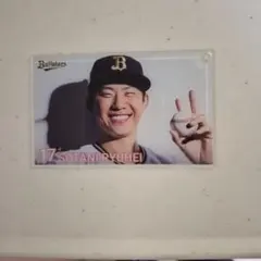 バファローズ 曽谷選手　 記念グッズ　コロチャレ