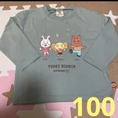 新品未使用　アンパンマン かばお　長袖ロンT トップス　100センチ