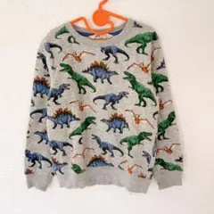H&M 6-8Y(110〜130サイズ相応) トレーナー 恐竜柄 グレー