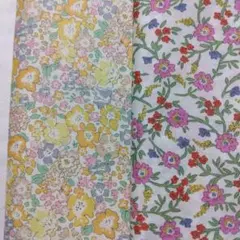 リバティ　タナローン　はぎれ 　かわいい花柄　２枚