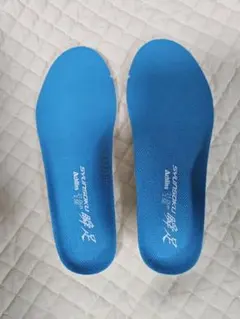 瞬足中敷き21.0cm 2.5E