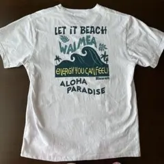 Item thumbnail for item d89b5bd8-73e6-4b7a-b536-dd3aacba54a3