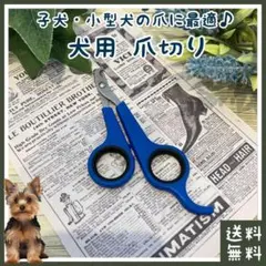 犬 爪切り(■ハサミ■子犬・超小型犬(チワワ・マルチーズ)などのワンちゃんに)