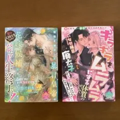 TL小説　4月新刊　ティアラ文庫　2冊セット