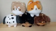 まんまるだわん5種