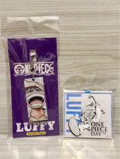 ワンピース ルフィ　アクリルプレート　キーホルダー　ワンピースデイ　ニカ