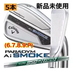 2025年最新】パラダイム アイアン 5の人気アイテム - メルカリ