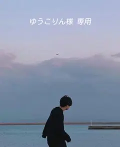 ✤ゆうこりん様 専用✤ JUNGKOOK アルバムキーリング Type:C