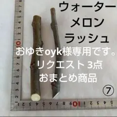 おゆきoyk様 リクエスト 3点 まとめ商品