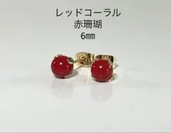 No3625レッドコーラル赤珊瑚(染)6㎜のピアスサージカルステンレス