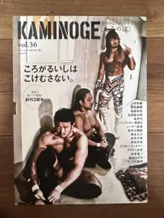 KAMINOGE vol.36