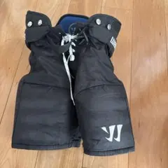 Item thumbnail for item e7c56c79-1c2c-49f4-9034-1c32c0f18d63