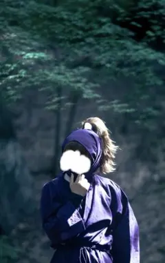 忍たま乱太郎 不破雷蔵、鉢屋三郎、双忍 ウィッグ