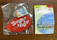 ハマッコレクション　ハングリータイガー