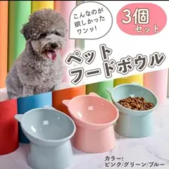 Item thumbnail for item 61b6498c-0044-4349-8624-81093a5d6642