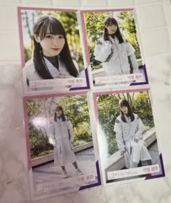 Item thumbnail for item 34dd81ea-1f17-4c27-9a63-72f66a7b22c6