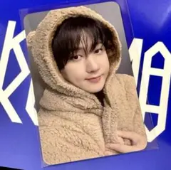 StrayKids KARMA プレリス FANS 購入特典 トレカ チャンビン
