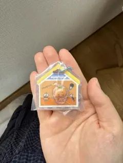 MINITEEN キーホルダー スングァンのサムネイル