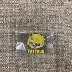 からぴち たっつん ピンズコレクション3