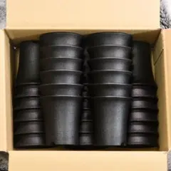 2025年最新】蘭鉢の人気アイテム - メルカリ