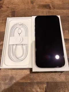 Apple iPhone 16 Pro 本体