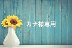 カナ様専用