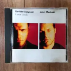 ジャズ CD 3714 デヴィット・フュージンスキー & ジョン・メデスキー