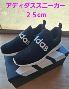 Item thumbnail for item 6e87afec-c895-47bb-bb3a-15e64094a4ca